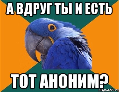 а вдруг ты и есть тот аноним?, Мем Попугай параноик