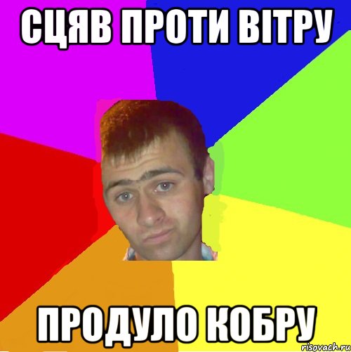 сцяв проти вітру продуло кобру