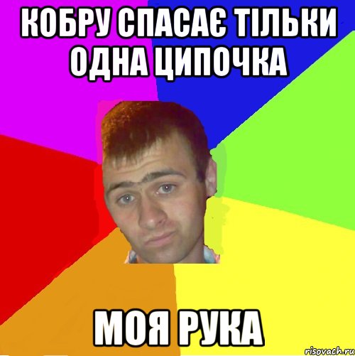 кобру спасає тільки одна ципочка моя рука