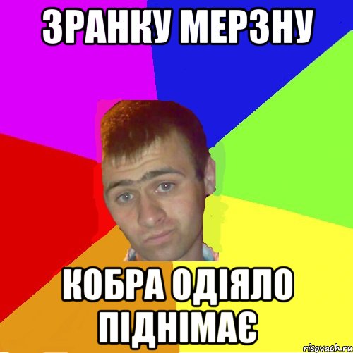зранку мерзну кобра одіяло піднімає