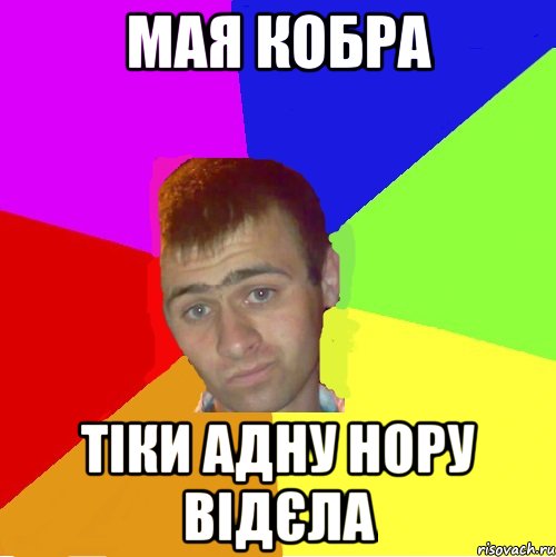 мая кобра тіки адну нору відєла