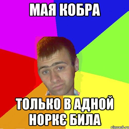 мая кобра только в адной норкє била