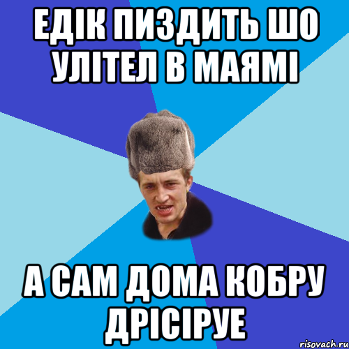 едік пиздить шо улітел в маямі а сам дома кобру дрісіруе, Мем Празднчний паца