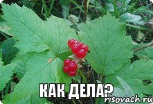 Как дела?, Комикс Привет