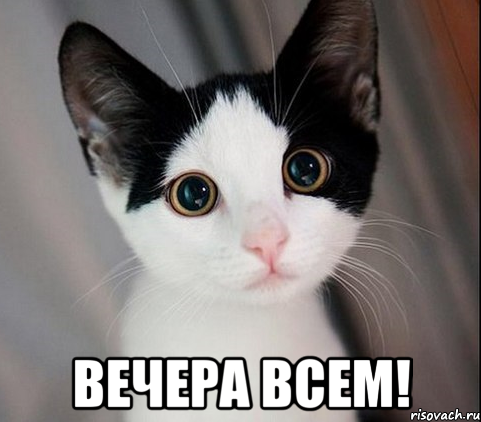  вечера всем!