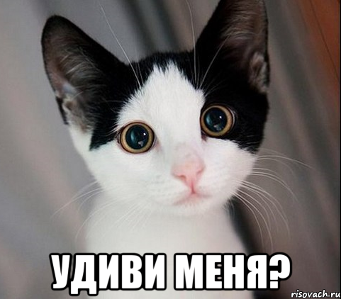  удиви меня?