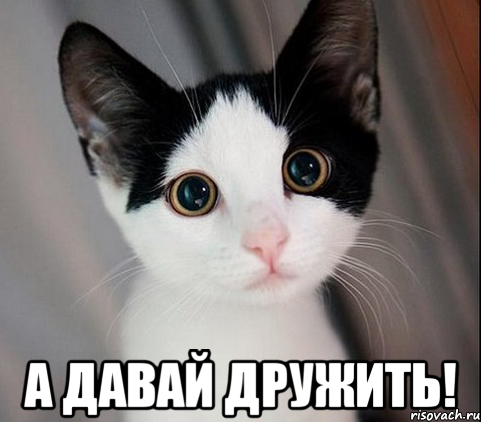 Прикольные фото, картинки, демотиваторы об алкоголе и спиртных напитках. Смешные картинки и демотиваторы про алкоголь.