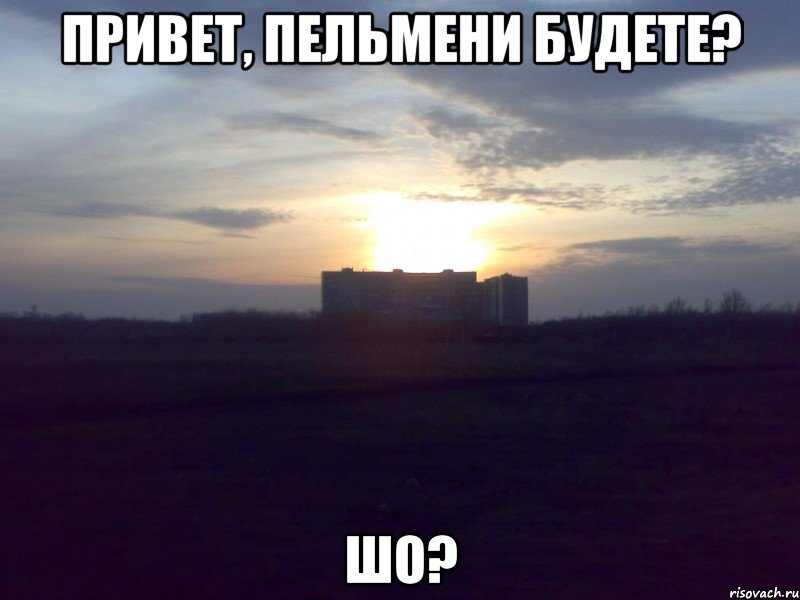 Привет, пельмени будете? Шо?