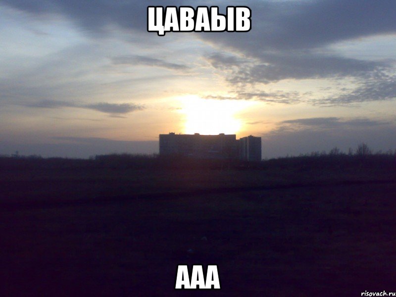 цаваыв ааа