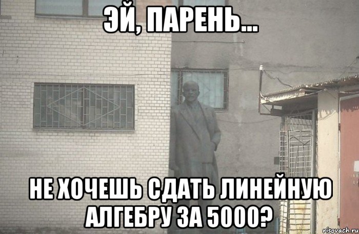  не хочешь сдать линейную алгебру за 5000?, Мем псс парень