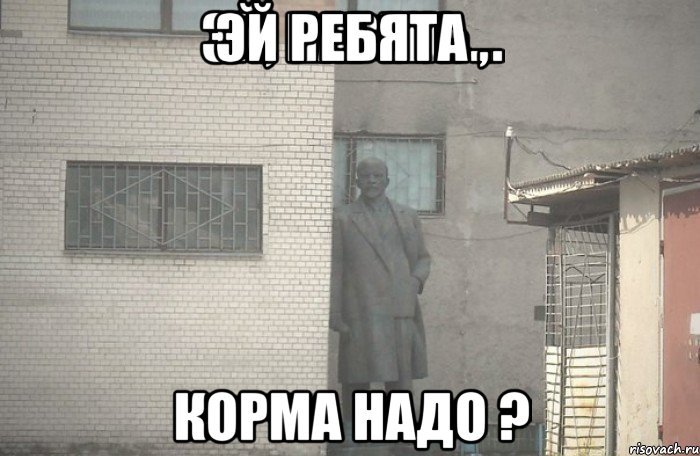 эй ребята , корма надо ?