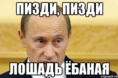 пизди, пизди лошадь ёбаная, Мем путин