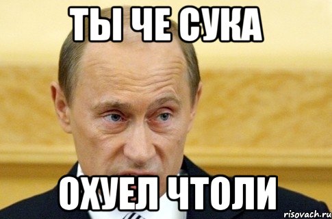 ты че сука охуел чтоли, Мем путин