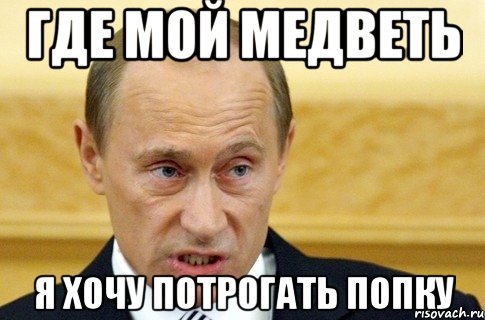 где мой медветь я хочу потрогать попку, Мем путин