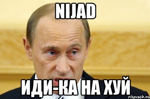 Nijad иди-ка на хуй, Мем путин