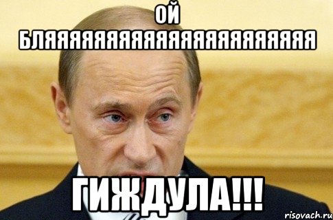 Ой бляяяяяяяяяяяяяяяяяяяяяя гиждула!!!, Мем путин