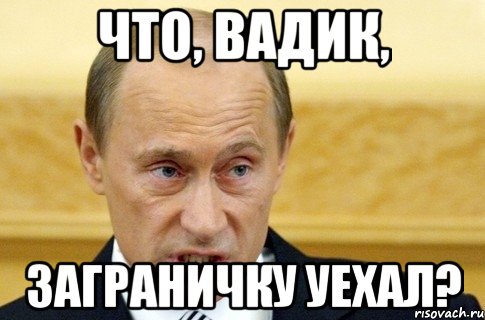 Что, Вадик, Заграничку уехал?, Мем путин