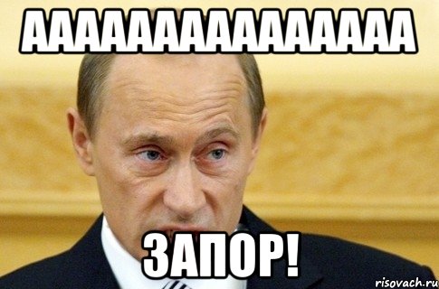 ааааааааааааааа ЗАПОР!, Мем путин