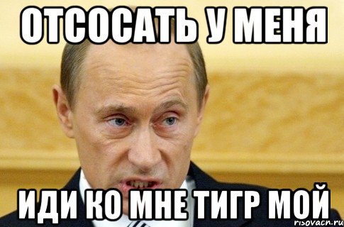 Отсосать у меня иди ко мне тигр мой, Мем путин