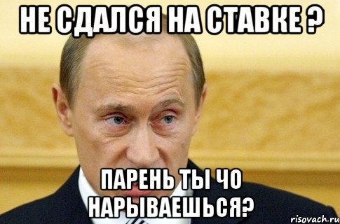 не сдался на ставке ? парень ты чо нарываешься?, Мем путин