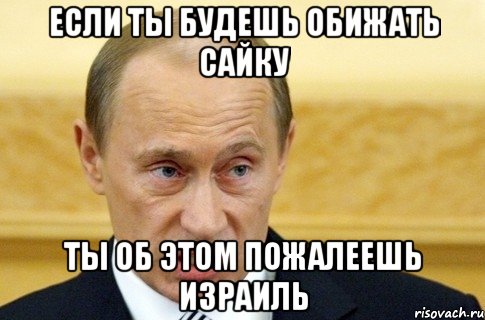 если ты будешь обижать сайку ты об этом пожалеешь ИЗРАИЛЬ, Мем путин