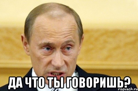  Да что ты говоришь?, Мем путин