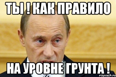 ты ! как правило на уровне грунта !, Мем путин