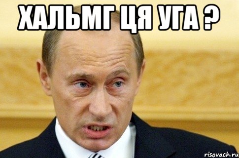 хальмг ця уга ? , Мем путин