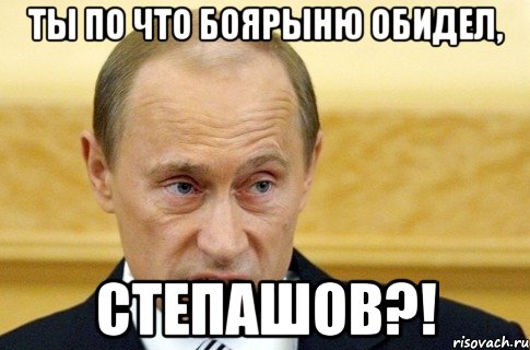 Ты по что боярыню обидел, Степашов?!, Мем путин