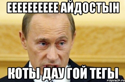 ЕЕЕЕЕЕЕЕЕЕ Айдостын Коты дау гой тегы, Мем путин