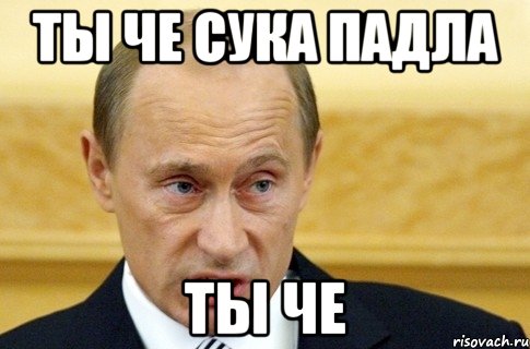 Ты че сука падла ты че, Мем путин