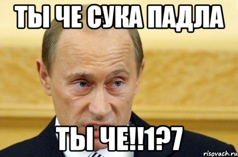 Ты че сука падла Ты че!!1?7, Мем путин