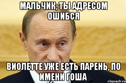 мальчик, ты адресом ошибся Виолетте уже есть парень, по имени гоша, Мем путин