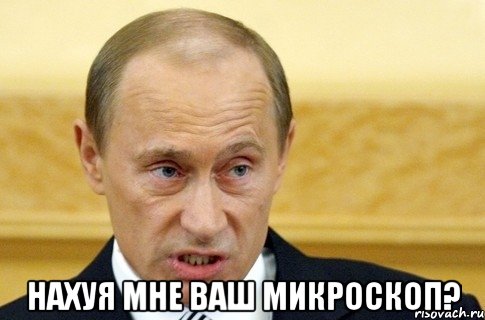  Нахуя мне ваш микроскоп?, Мем путин