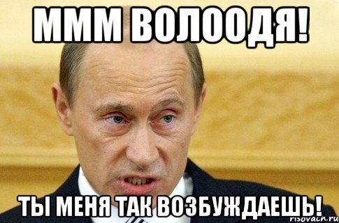 ммм волоодя! ты меня так возбуждаешь!, Мем путин