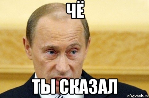 ЧЁ ты сказал, Мем путин