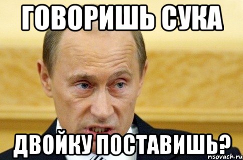 Говоришь сука двойку поставишь?, Мем путин