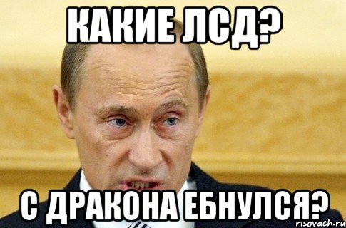 Какие ЛСД? С дракона ебнулся?, Мем путин