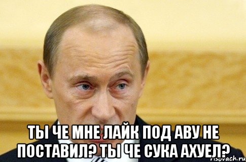  ты че мне лайк под аву не поставил? ты че сука ахуел?, Мем путин