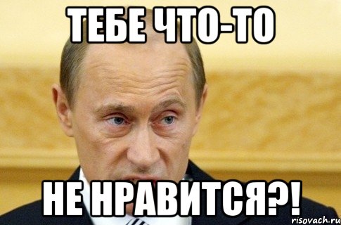 Тебе что-то не нравится?!, Мем путин