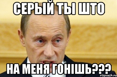 серый ты што на меня гонішь???, Мем путин