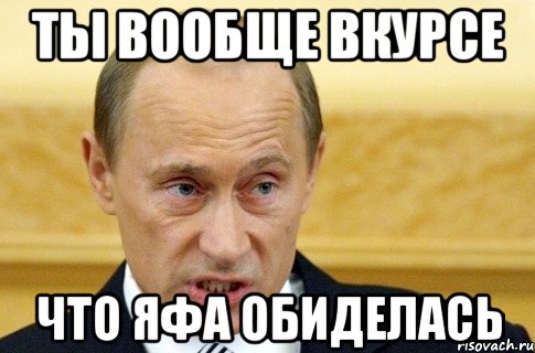 Ты вообще вкурсе Что яфа обиделась, Мем путин