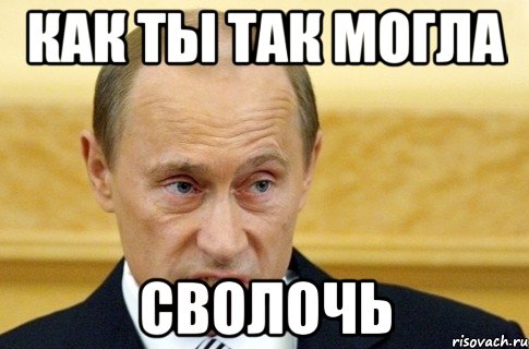 как ты так могла сволочь, Мем путин