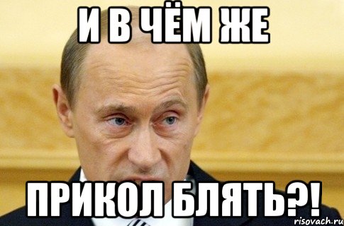 И в чём же Прикол блять?!, Мем путин