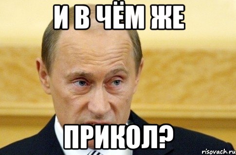 И В ЧЁМ ЖЕ ПРИКОЛ?, Мем путин