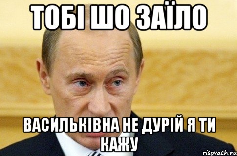 тобі шо заїло Васильківна не дурій я ти кажу, Мем путин