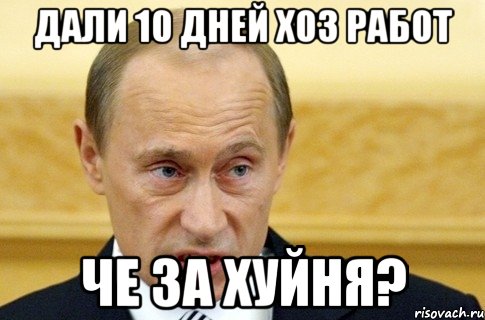 Дали 10 дней хоз работ че за хуйня?, Мем путин