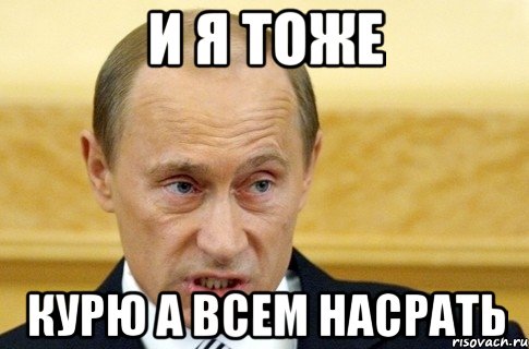 и я тоже курю а всем насрать, Мем путин