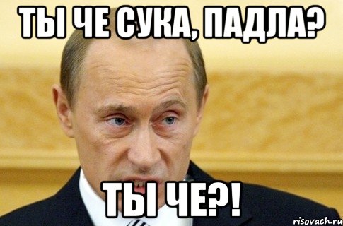 ты че сука, падла? ты че?!, Мем путин