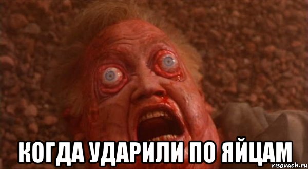  когда ударили по яйцам